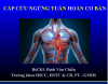 TRUNG TÂM Y TẾ HUYỆN TÂN LẠC TỔ CHỨC TẬP HUẤN CẤP CỨU NGỪNG TUẦN HOÀN CƠ BẢN CHO ĐỘI NGŨ Y, BÁC SỸ TRUNG TÂM
