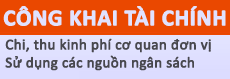 congkhaitaichinh